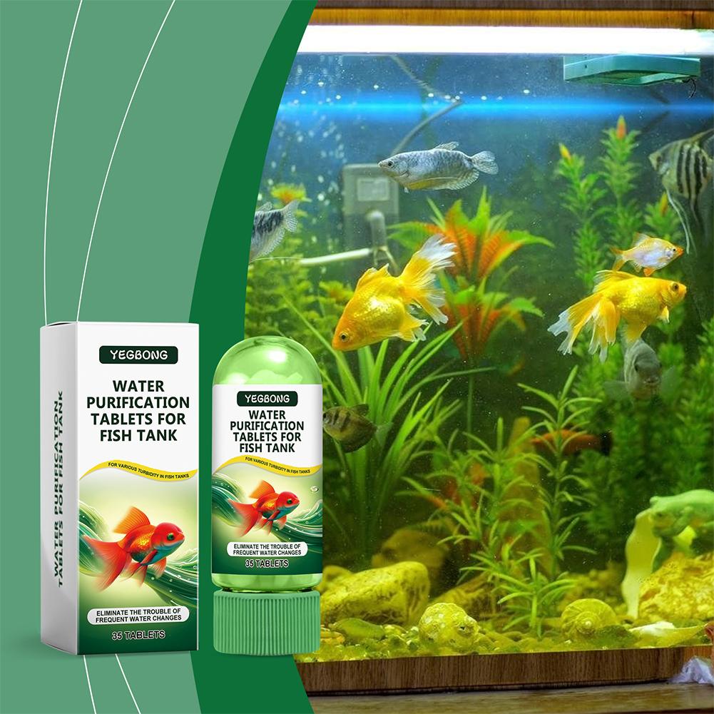 Water Purification Tablets Fis - Water Purification Tablet review and price