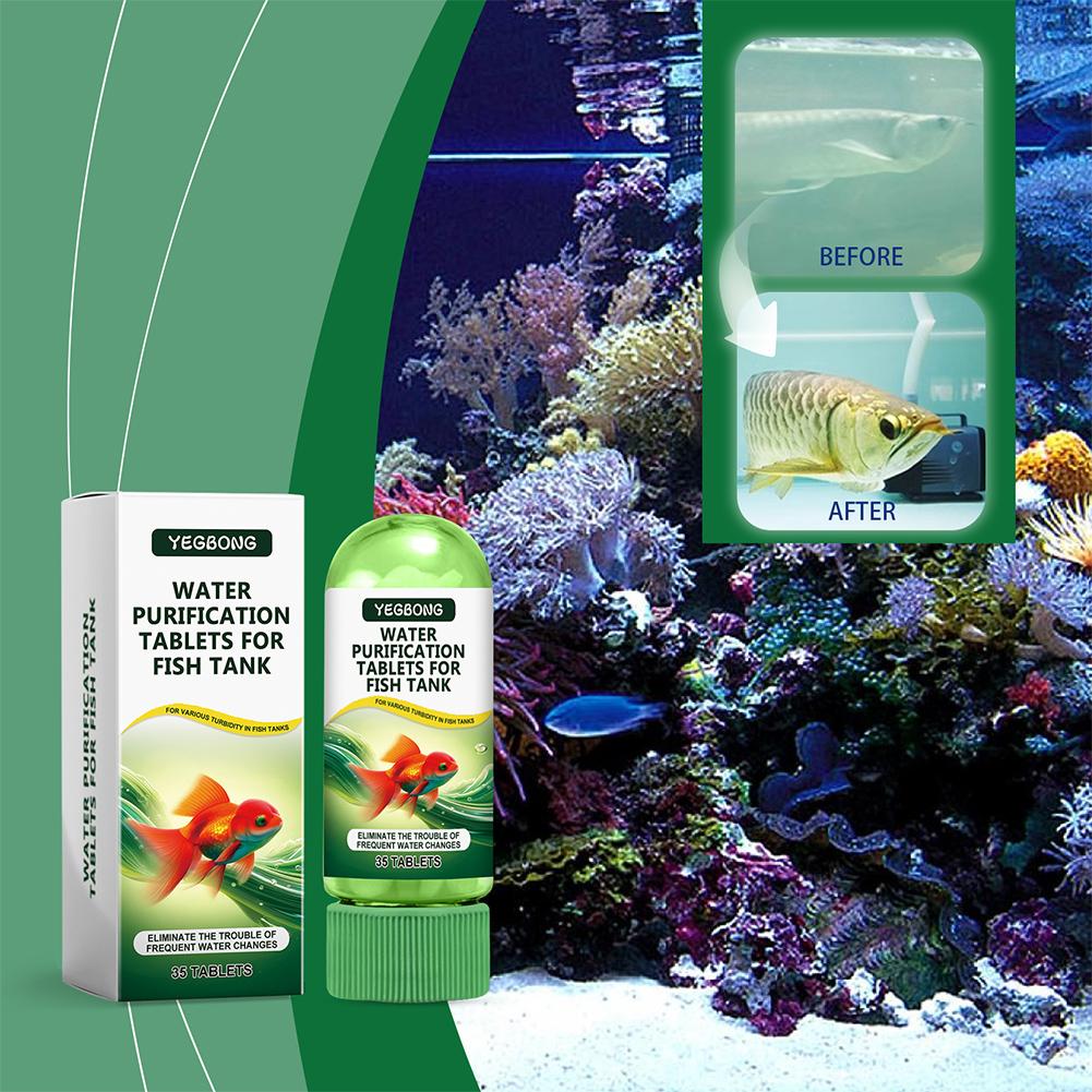 Water Purification Tablets Fis - Water Purification Tablet review and price