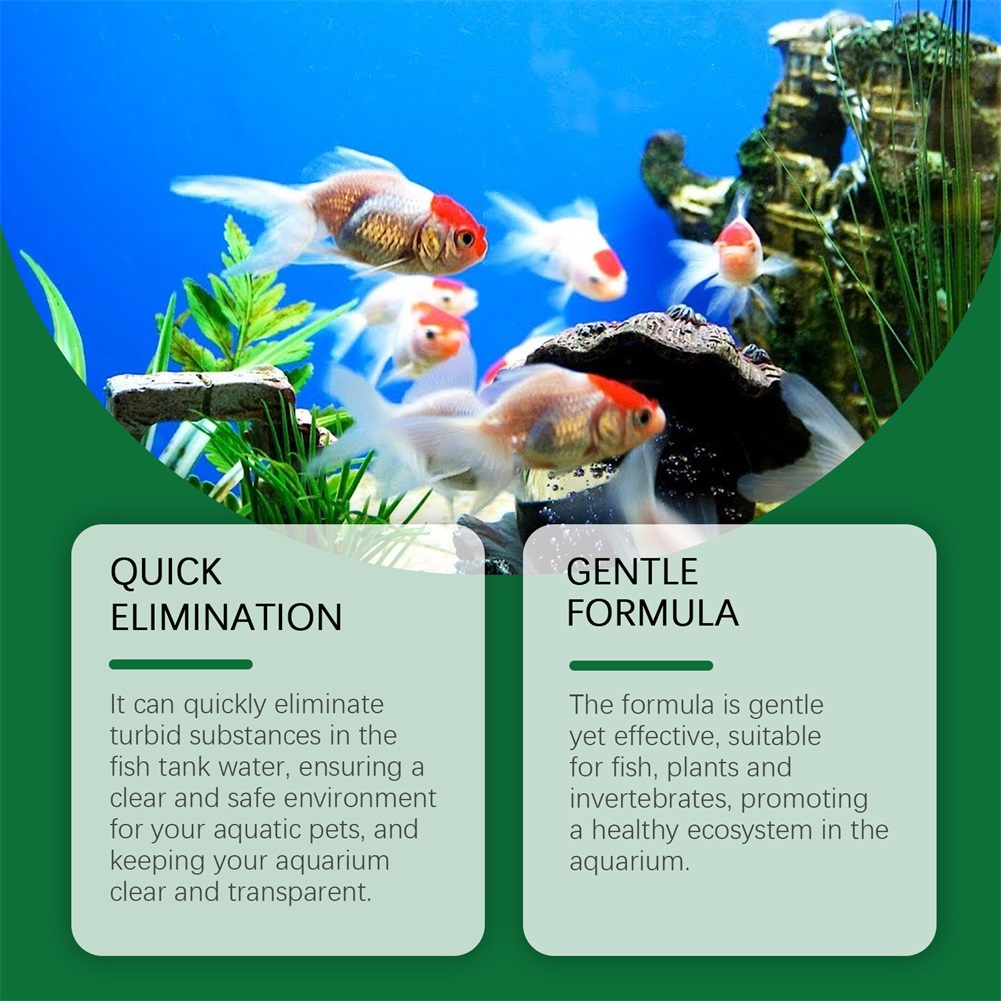 Water Purification Tablets Eco - Water Purification Tablet review and price