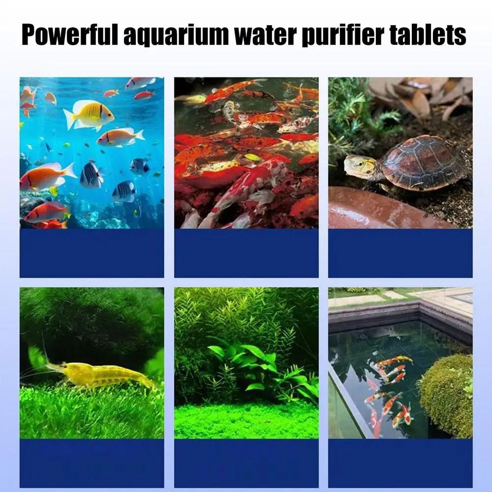 Powerful Water Purification Ta - Water Purification Tablet review and price